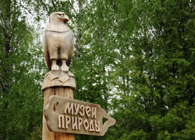 Экскурсия в Березинский заповедник из Минска