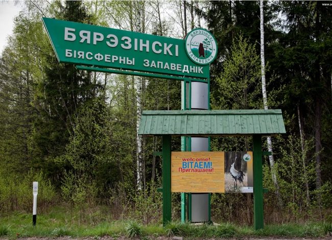 Экскурсия в Березинский заповедник из Минска