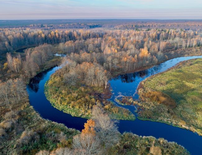 Экскурсия в Березинский заповедник из Минска