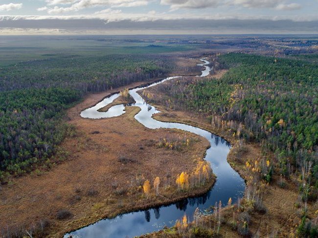 Экскурсия в Березинский заповедник из Минска